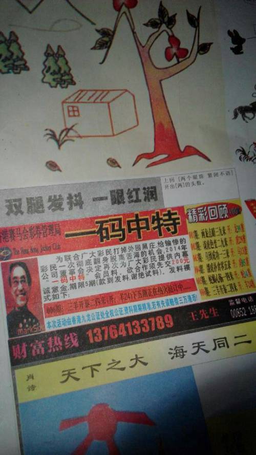 王中王贏錢詩猜一肖，揭秘背后的奧秘與策略，揭秘王中王贏錢詩背后的生肖奧秘與策略揭秘