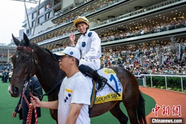 香港特馬王資料免費(fèi)公開，揭秘背后的秘密，香港特馬王資料揭秘，免費(fèi)公開背后的秘密