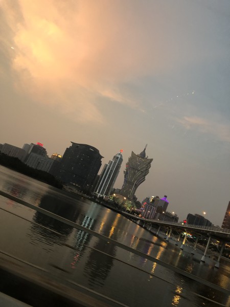 澳門今晚必開一肖一特，深度解析與預測，澳門今晚生肖特碼深度解析與預測，一肖一特必開趨勢探討