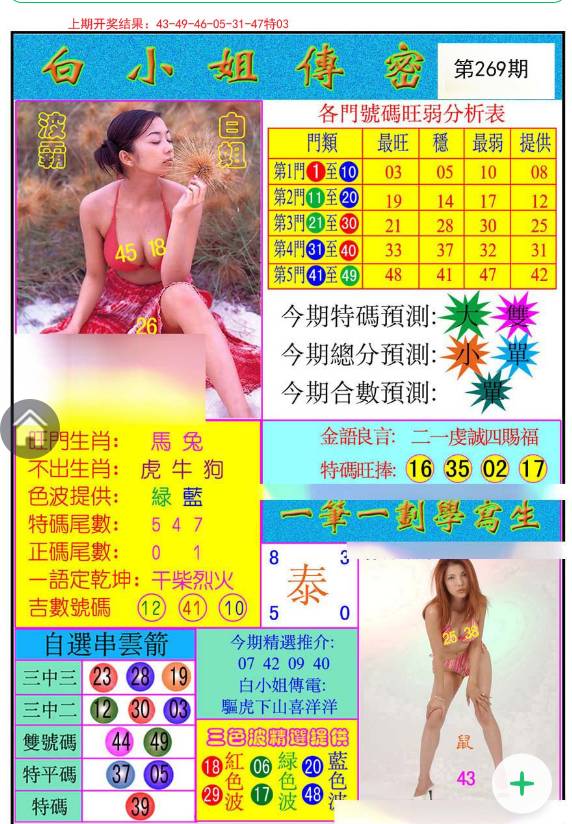 揭秘白小姐與王中王平持一肖的神秘面紗，白小姐與王中王，揭秘神秘生肖預測面紗