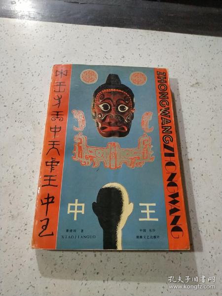 王中王資料與肖中特，深度解析，王中王資料與肖中特深度剖析