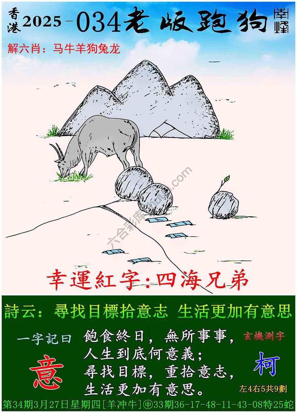 全新升級！探索7777788888新版跑狗資料，全新升級！探索跑狗資料7777788888新版揭秘