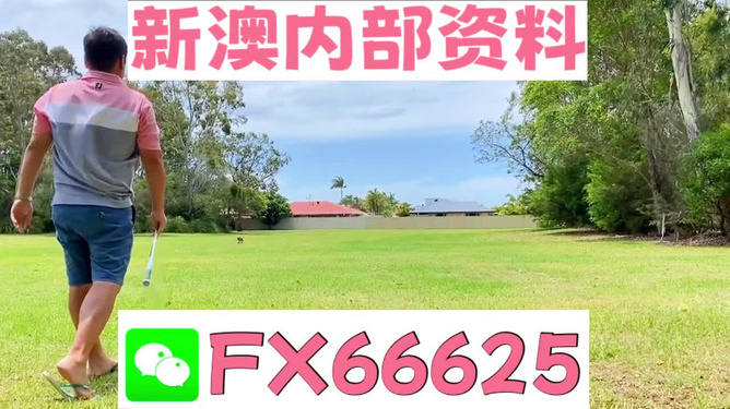 王中王兩肖一碼，揭秘背后的奧秘，王中王兩肖一碼揭秘，背后的秘密與奧秘