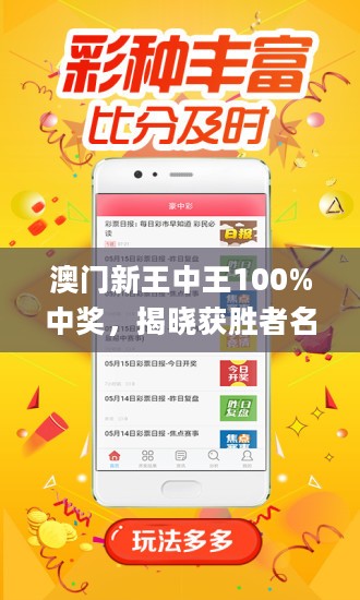 王中王藏寶閣猜一肖，揭秘背后的秘密與SEO策略，王中王藏寶閣猜一肖背后的秘密與SEO策略揭秘