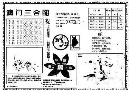 王中王資料一肖中特官婆，深度解析與SEO優化策略，王中王資料一肖中特官婆深度解析與SEO優化策略探討