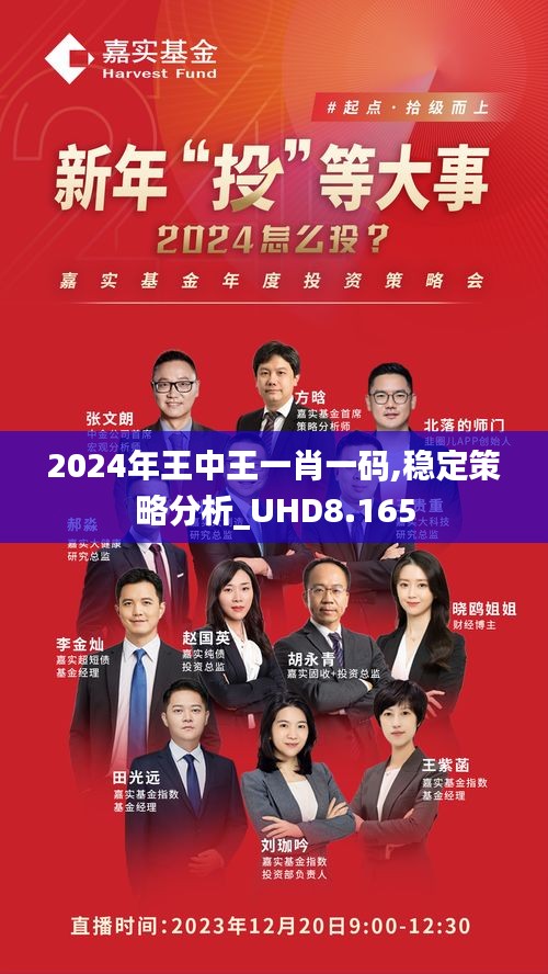 王中王一馬中一肖一馬，探尋背后的故事與奧秘，探尋王中王一馬中一肖一馬背后的故事與奧秘
