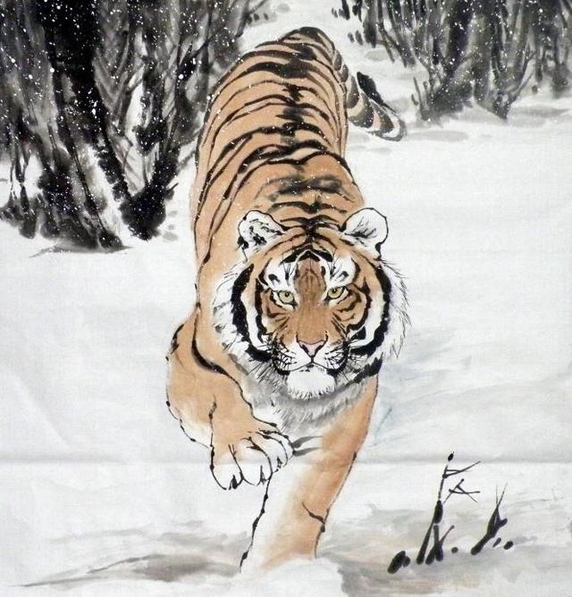 猛虎下山王中王，揭秘一生肖的神秘魅力，揭秘生肖之王——猛虎下山之神秘魅力