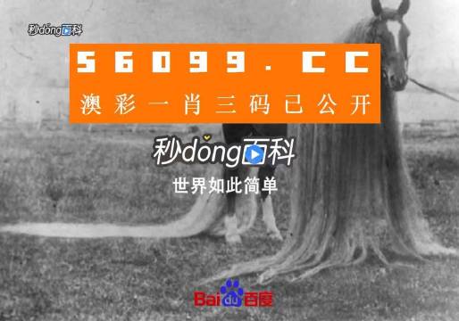 澳門一肖一碼一必中一肖舟山，揭秘彩票秘密，掌握幸運之鑰，揭秘彩票秘密，澳門一肖一碼必中秘籍與幸運之鑰在舟山開啟