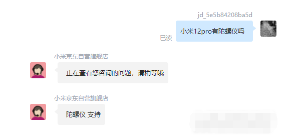 王中王一肖碼，探索關鍵詞背后的奧秘，王中王一肖碼，揭秘關鍵詞背后的奧秘