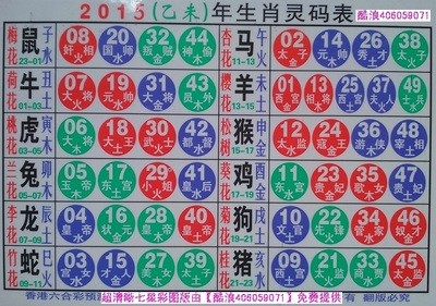 揭秘2025十二生肖與數字彩票的神奇聯系——49碼表全解析，揭秘十二生肖與數字彩票的神秘聯系，2025年49碼表深度解析