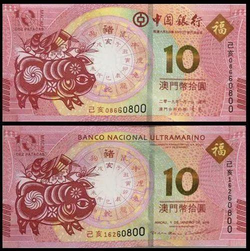 澳門天天彩期期精準(zhǔn)十二生肖預(yù)測——揭秘彩票背后的秘密，澳門天天彩期期精準(zhǔn)十二生肖預(yù)測，彩票背后的秘密大揭秘