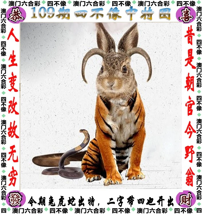 四不像王中王資料一肖，深度解析與探索，四不像王中王資料一肖，深度解析與探索揭秘