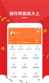一肖碼王中王，揭秘生肖魅力與數字密碼的完美結合，揭秘生肖魅力與數字密碼的完美融合——一肖碼王中王