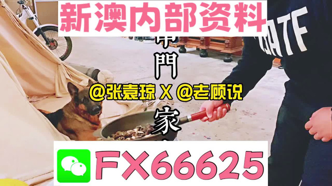 新澳門精準資料大全，管家婆料解析與探索，澳門精準資料大全，管家婆料解析與深度探索