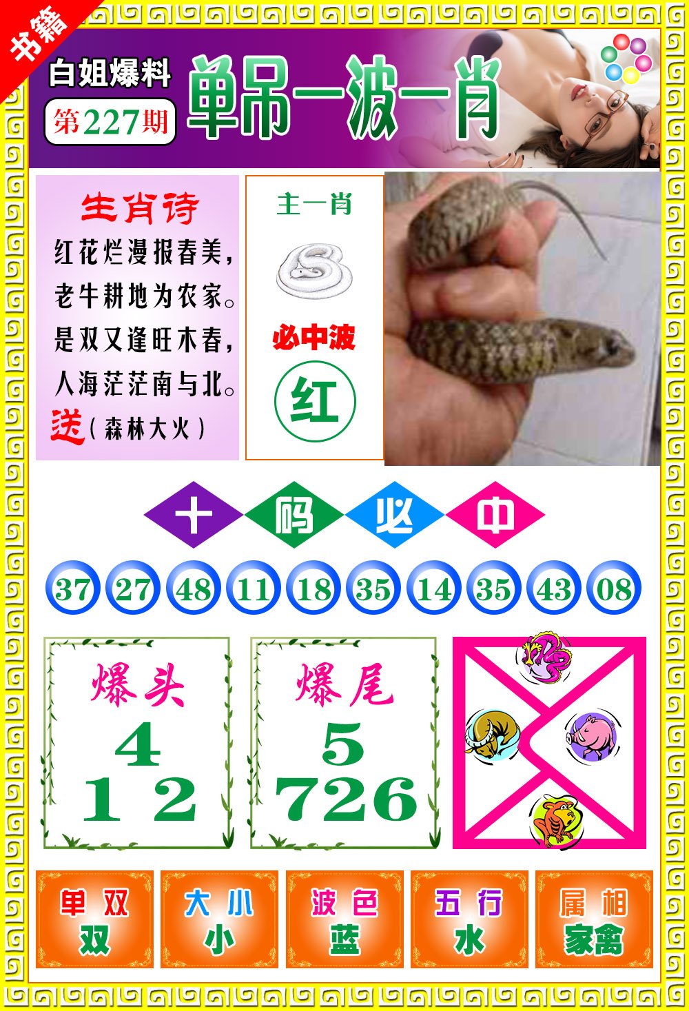王中王免費一肖開獎，揭秘彩票背后的秘密，揭秘彩票背后的秘密，王中王免費一肖開獎探秘
