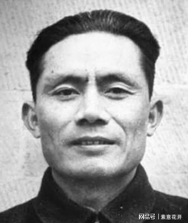 王中王平肖一特，聚焦關(guān)鍵詞背后的故事與成就，王中王平肖一特，關(guān)鍵詞背后的故事與輝煌成就