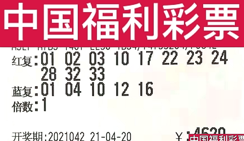 新奧門今晚開獎結果查詢第243期，全面解析與預測，新奧門第243期開獎結果解析與預測，今晚開獎揭秘