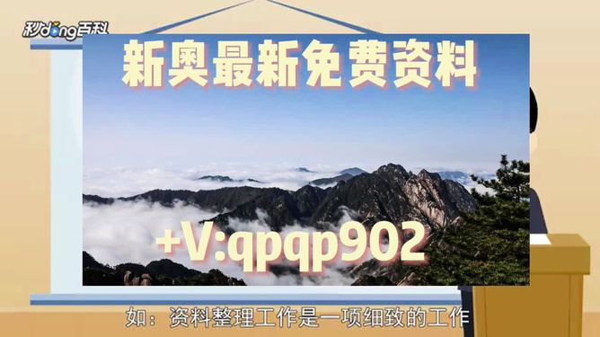 新奧49正版資料，全面解析與SEO優化策略，新奧49正版資料詳解與SEO優化策略探討