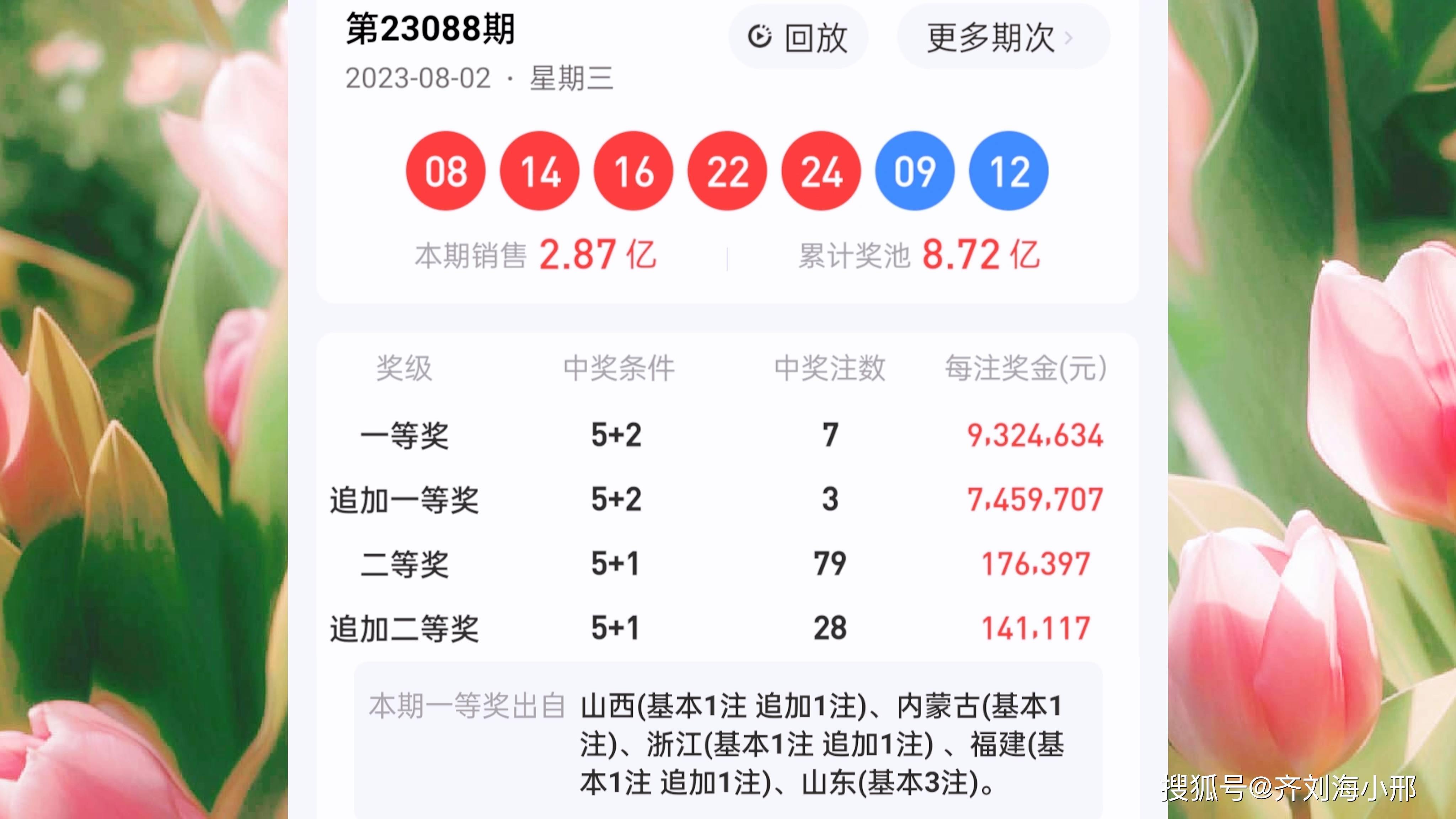 最新開獎結果揭曉，王中王與一肖中的幸運時刻，王中王與一肖中幸運時刻揭曉，最新開獎結果出爐