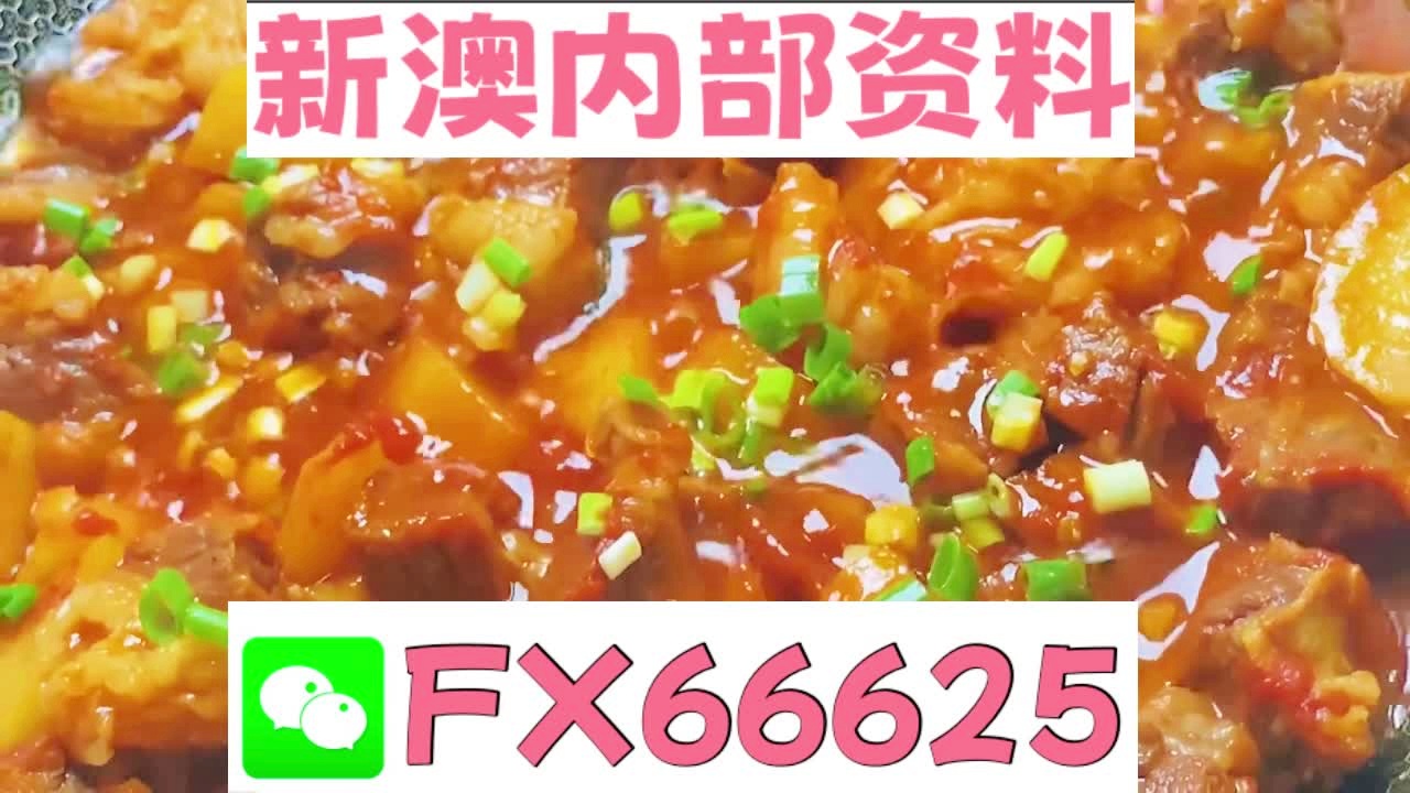 新奧天天免費資料大全——探索與優(yōu)化的SEO之旅，新奧天天免費資料大全，SEO探索與優(yōu)化之旅