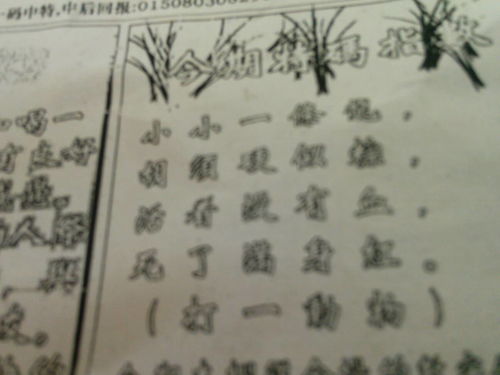 必中劉伯溫猜一肖，揭秘生肖預測的神秘面紗，揭秘劉伯溫生肖預測，探尋生肖神秘面紗下的真相