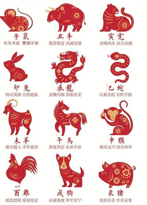 新澳特碼，羊牛虎各數10的獨特魅力與探索，新澳特碼，羊牛虎各數10的獨特魅力與奧秘探索