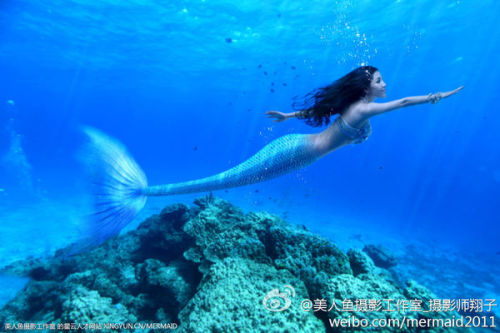澳門美人魚最快開獎結果圖——揭秘熱門彩票游戲背后的秘密，澳門美人魚彩票開獎揭秘，最新結果圖與游戲背后秘密探索