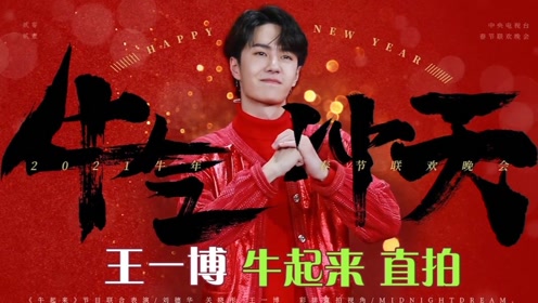 探尋王中王，揭秘發個王中王一肖中特背后的奧秘，揭秘王中王，探尋發個王中王一肖中特背后的神秘奧秘