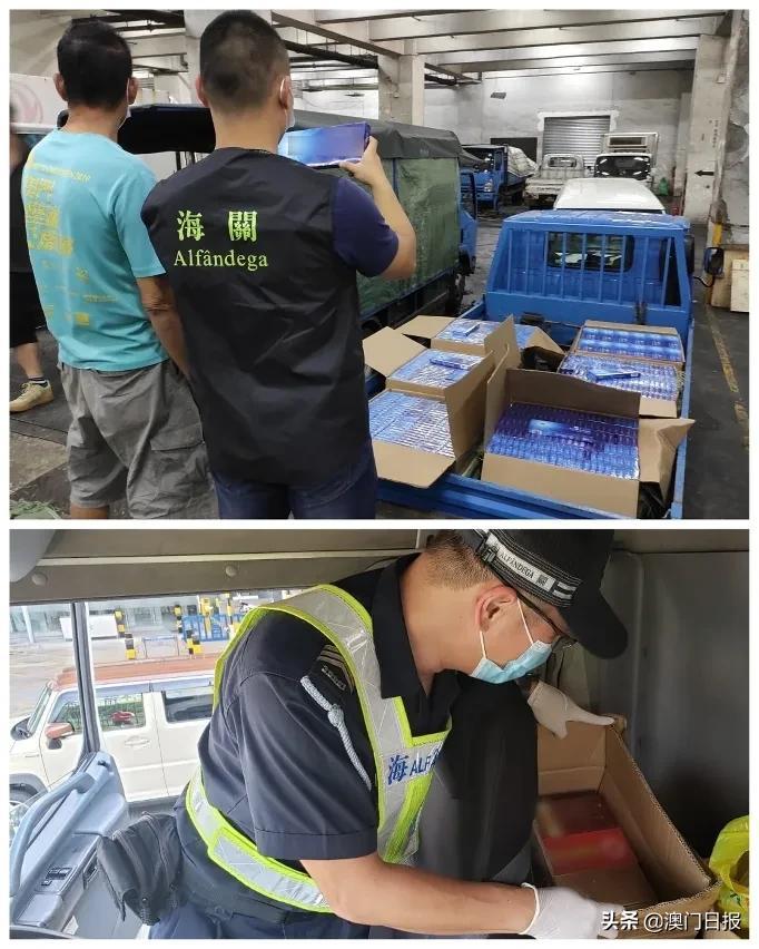 澳門今晚必開一肖080，揭秘生肖運(yùn)勢(shì)與預(yù)測(cè)之謎，澳門今晚必開一肖揭秘，生肖運(yùn)勢(shì)預(yù)測(cè)之謎開啟！