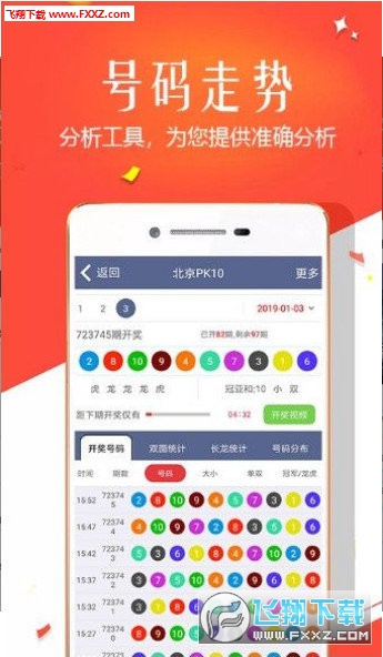 王中王四肖選一，揭秘選擇與優化策略，王中王四肖選一，選擇與優化策略的揭秘
