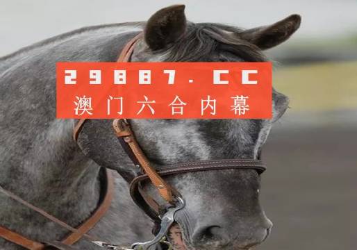 澳門一一碼一特一中準選今晚，探索真實有效的選擇與策略，澳門今晚一特一中準選碼，真實有效的選擇與策略探索