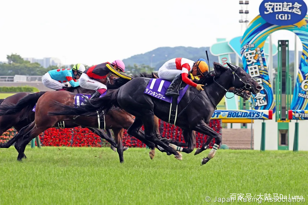 香港王中王與一馬中特肖的獨特魅力，深度解析與探索，香港王中王與一馬中特肖的獨特魅力，深度探索與解析