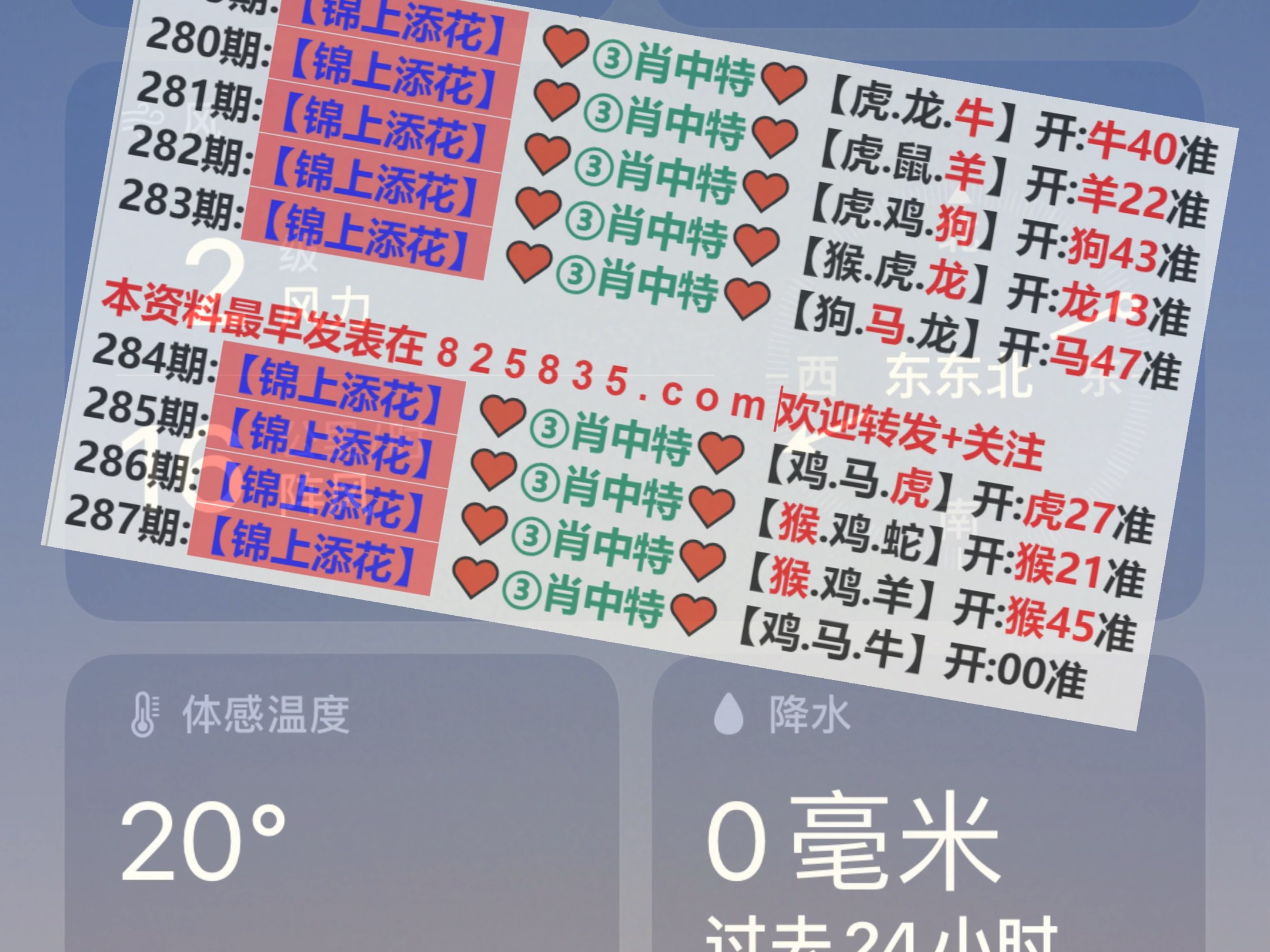新澳2025年精準(zhǔn)一肖一碼，揭秘預(yù)測背后的秘密，揭秘新澳2025年精準(zhǔn)一肖一碼預(yù)測背后的秘密