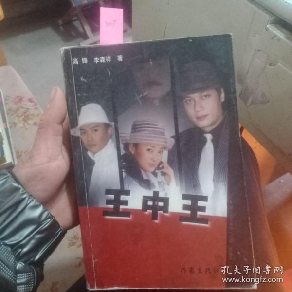 王中王資料一肖中天，深度解析與探索，王中王資料一肖中天，深度剖析與探索