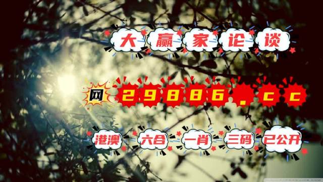 澳門今必開一肖一碼，深度解析與探索，澳門生肖一碼深度解析與探索