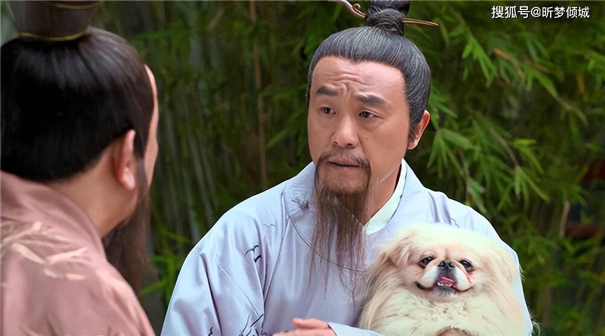 揭秘劉伯溫四不象一肖的神秘面紗——探尋背后的傳奇故事，揭秘劉伯溫四不象一肖背后的傳奇故事，神秘面紗下的神秘傳說