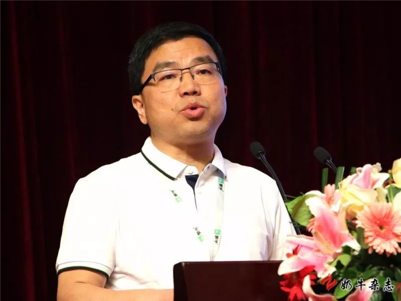 王中王一平特肖，揭秘第100期的秘密與策略，揭秘第100期秘密與策略，王中王一平特肖獨家解析