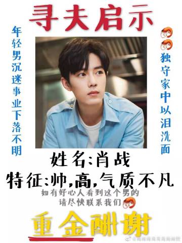 一肖一碼一一肖一子善，探尋命運密碼與智慧之光的完美結(jié)合，命運密碼與智慧之光，一肖一碼一一肖一子善的探尋