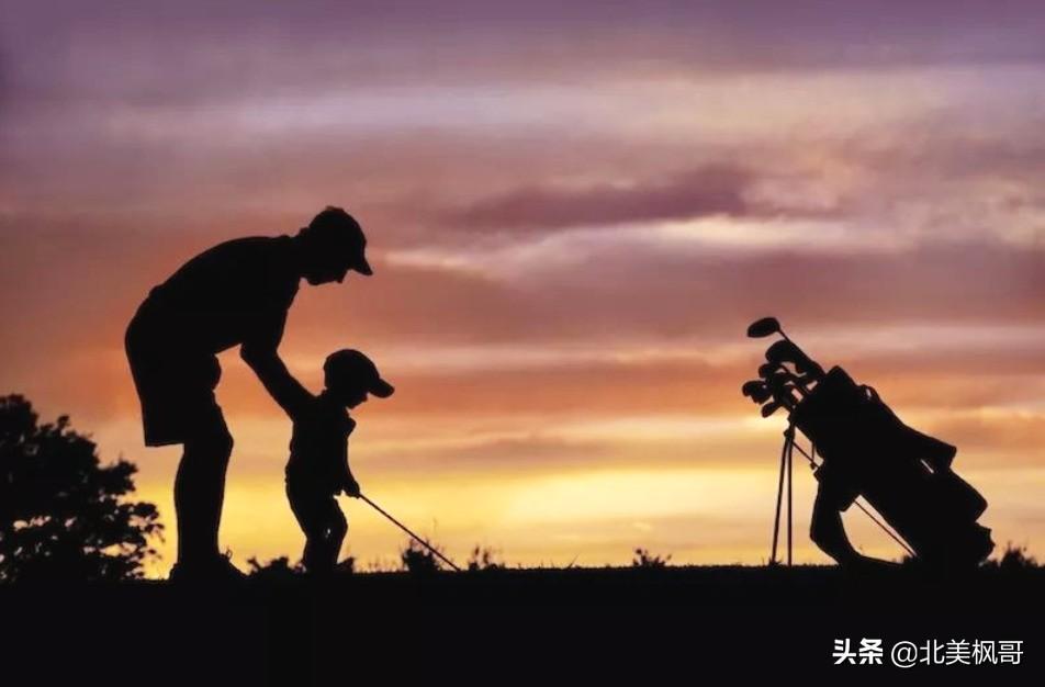 森林高手王中王與神秘生肖——深度解讀背后的故事與秘密，森林高手王中王與神秘生肖，故事背后的深度解讀與秘密探尋