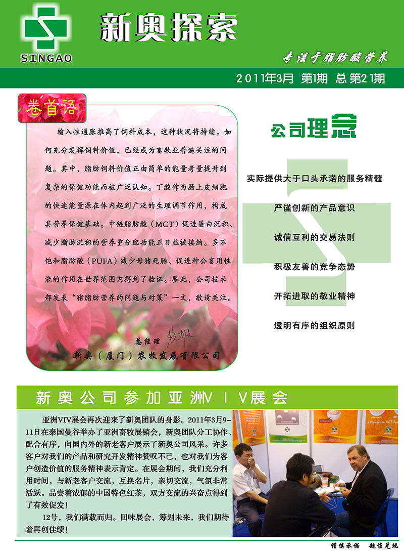 2025新澳精準(zhǔn)正版資料，全面解析與深度探索，2025新澳正版資料全面解析與深度探索