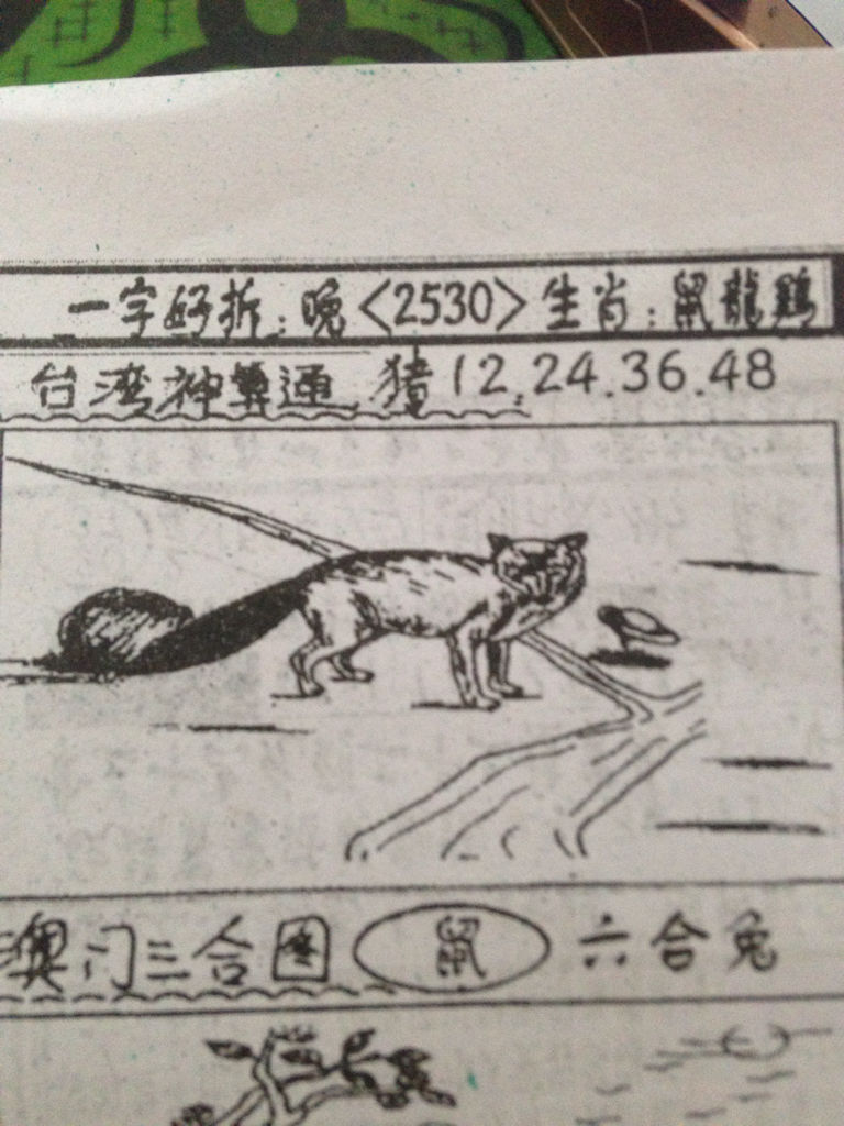 揭秘生肖奧秘，看圖猜一生肖劉伯溫的傳奇故事，揭秘生肖奧秘，劉伯溫傳奇故事中的生肖之謎探索