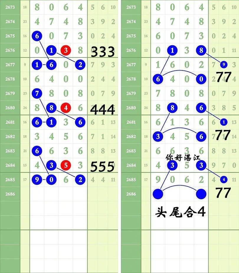 一肖三碼王中王絕密，揭秘背后的秘密與策略洞察，揭秘一肖三碼王中王絕密策略與背后秘密
