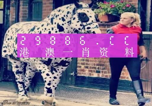 澳門王中王，揭秘一肖中特資料背后的秘密，澳門王中王揭秘，一肖中特資料背后的秘密傳奇