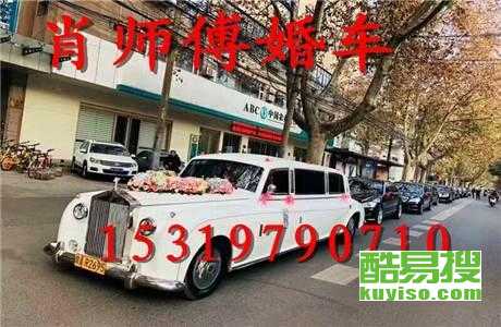 王中王車奪平特一肖免費——深度解析與探索，王中王車奪平特一肖，深度解析與免費探索