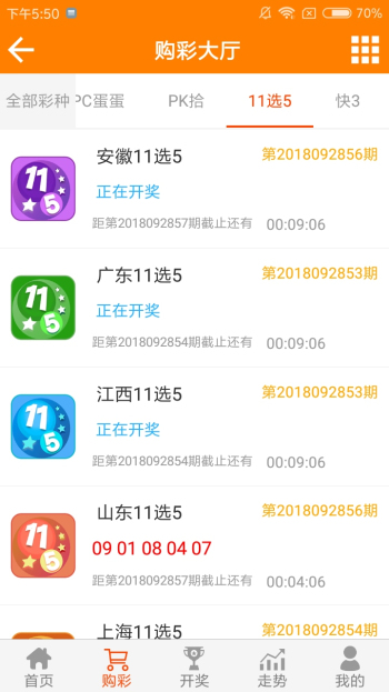 王中王論壇一平特一肖，深度解析與SEO策略，王中王論壇一平特一肖深度解析與SEO策略探討