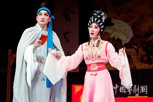 新澳門狀元紅中特網，探索與解析，澳門狀元紅中特網深度解析與探索
