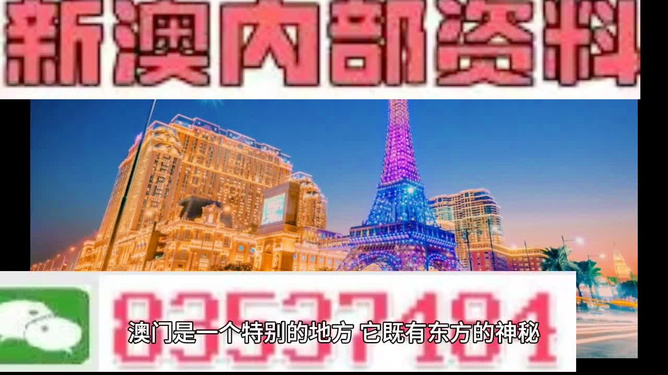 新澳門內(nèi)部免費(fèi)資料精準(zhǔn)大全——探索澳門資訊的寶庫(kù)，澳門資訊寶庫(kù)，新澳門內(nèi)部免費(fèi)資料精準(zhǔn)大全