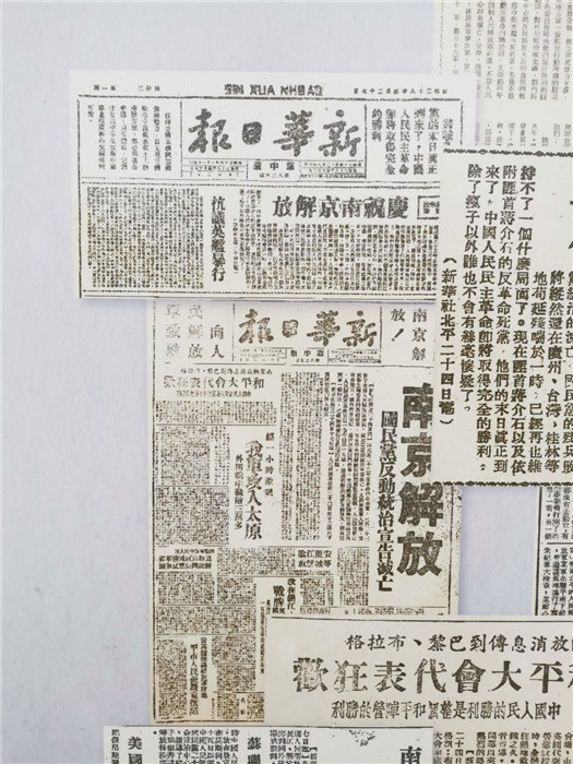 探索最新跑狗圖2025高清圖片，最新資訊與獨特魅力，最新跑狗圖2025高清圖片揭秘，資訊魅力一網打盡！
