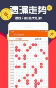 王中王一肖十，深度解析與SEO優化策略，王中王一肖十深度解析與SEO優化策略探討