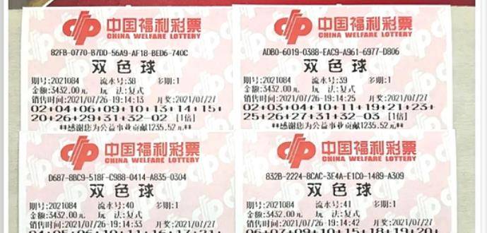王中王084期指一生肖，解讀背后的秘密與生肖運勢分析，王中王084期生肖揭秘，秘密解讀與運勢展望